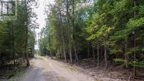 97 DEVILS GLEN Road Northern Bruce Peninsula