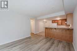 645 ST DAVID Street S Unit# 203 Fergus