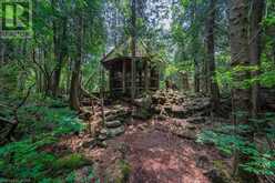 15 RIVER BLUFF Path Guelph/Eramosa