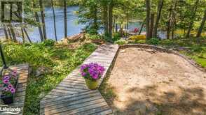 38 SR405 SEVERN RIVER Shore Muskoka