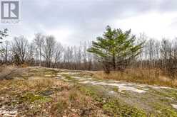 LOT 30 BIRCH ACRES Drive Honey Harbour