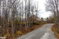 LOT 30 BIRCH ACRES DRIVE Georgian Bay