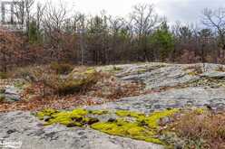 LOT 30 BIRCH ACRES DRIVE Georgian Bay