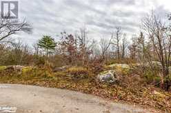 LOT 30 BIRCH ACRES DRIVE Georgian Bay