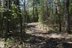 LOT 1 FAIRY FALLS ROAD Lake of Bays