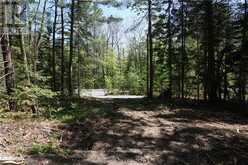 LOT 1 FAIRY FALLS ROAD Lake of Bays