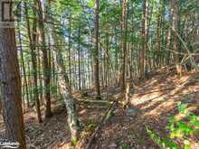 1250 WALDMERE Road Unit# Lot 2 Bracebridge