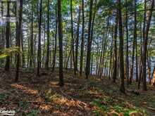 1250 WALDMERE Road Unit# Lot 2 Bracebridge