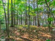 1250 WALDMERE Road Unit# Lot 2 Bracebridge