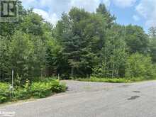 1156 CAMEL LAKE Road Bracebridge