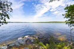 1124 COATE Road Unit# 8 Rosseau