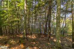 1124 COATE Road Unit# 8 Rosseau