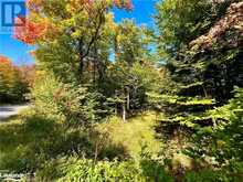 0 ACTON ISLAND Road Muskoka