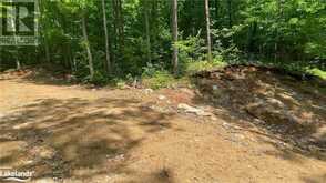 LOT 5 GONNSEN Trail Haliburton