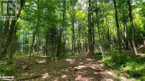 LOT 4 GONNSEN Trail Haliburton