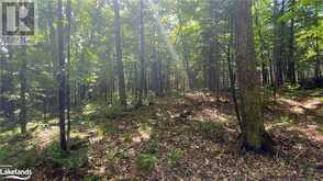 LOT 4 GONNSEN Trail Haliburton