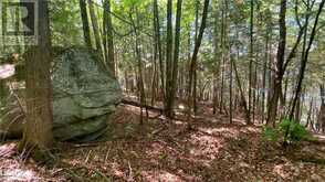 LOT 4 GONNSEN Trail Haliburton