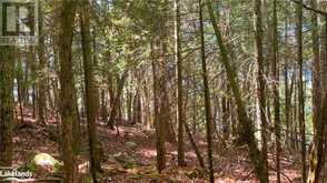 LOT 4 GONNSEN Trail Haliburton