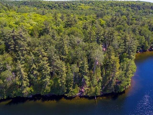 LOT 4 GONNSEN Trail Haliburton Ontario