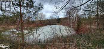 LOT 1-6 36/37 NOTTAWASAGA SIDE ROAD Clearview