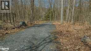 0 DICKIE LAKE Road Baysville