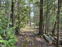 LOT 191-193 MALLORY BEACH Road South Bruce Peninsula