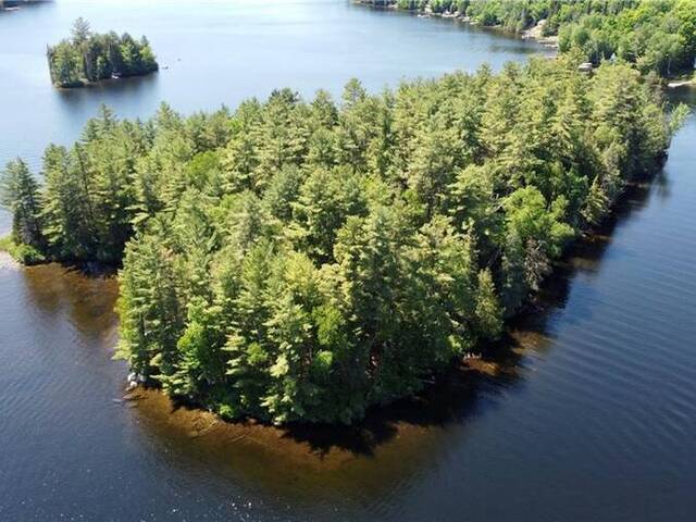 0 BUCKTOOTH Island Perry Ontario