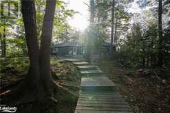 31 MOSS Island Seguin