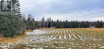 0 JACKSON'S Road Magnetawan