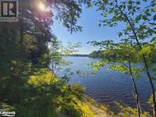 340 HEALEY Lake The Archipelago