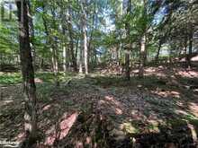 LOT 90 LOOKOUT POINT Road Huntsville