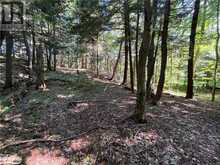 LOT 90 LOOKOUT POINT Road Huntsville