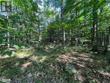 LOT 90 LOOKOUT POINT Road Huntsville