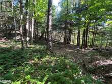 LOT 90 LOOKOUT POINT Road Huntsville