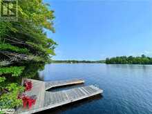 1127 TONDERN ISLAND Road Muskoka