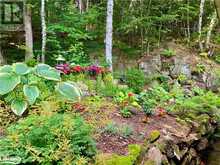 1127 TONDERN ISLAND Road Muskoka