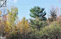 EAST PART LOT 2 CONCESSION 3 Concession Meaford (Municipality)