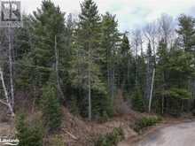 0 OLD MUSKOKA Road Unit# Lot 1 Emsdale