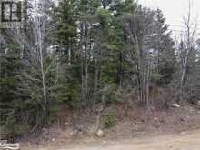 0 OLD MUSKOKA Road Unit# Lot 1 Emsdale