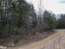 0 OLD MUSKOKA Road Unit# Lot 1 Emsdale