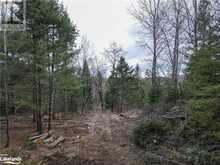 0 OLD MUSKOKA Road Unit# Lot 2 Emsdale