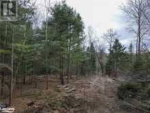 0 OLD MUSKOKA Road Unit# Lot 2 Emsdale