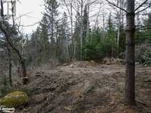 0 OLD MUSKOKA Road Unit# Lot 2 Emsdale