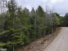 0 OLD MUSKOKA Road Unit# Lot 2 Emsdale