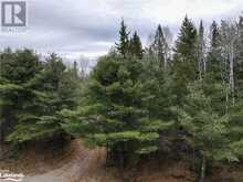 0 OLD MUSKOKA Road Unit# Lot 2 Emsdale