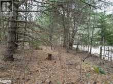 0 OLD MUSKOKA Road Unit# Lot 2 Emsdale