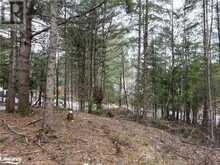 0 OLD MUSKOKA Road Unit# Lot 2 Emsdale