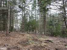 0 OLD MUSKOKA Road Unit# Lot 2 Emsdale