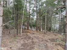 0 OLD MUSKOKA Road Unit# Lot 2 Emsdale