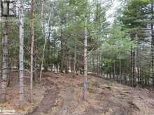 0 OLD MUSKOKA Road Unit# Lot 2 Emsdale